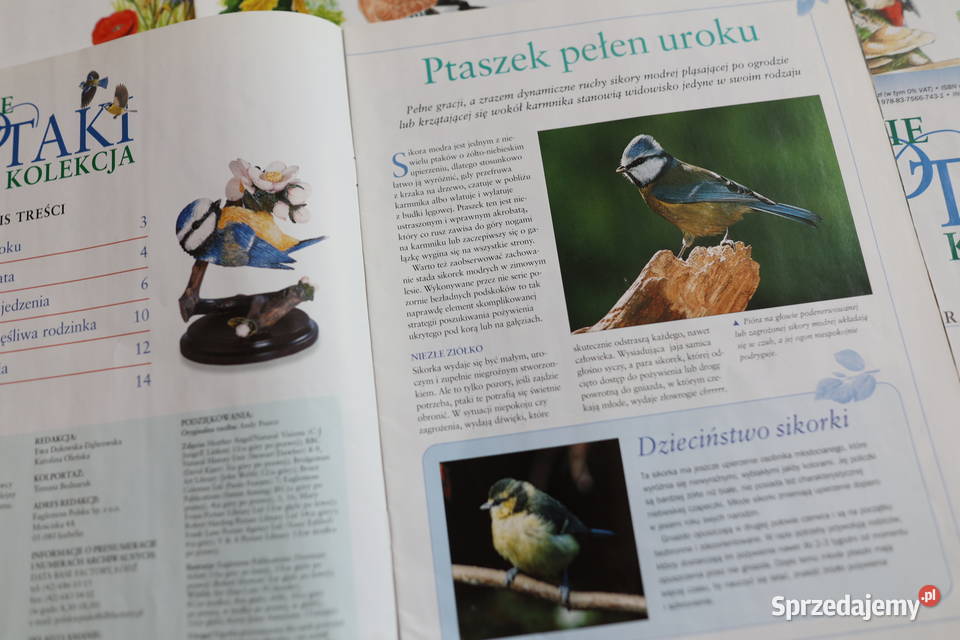 Ptaki polskie kolekcja części 1 do 15 15 pism Pozostałe Stąporków