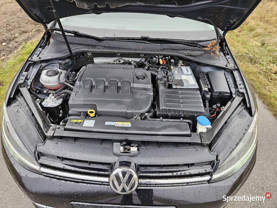 VW Golf VII 2020r 16TDI Puławy