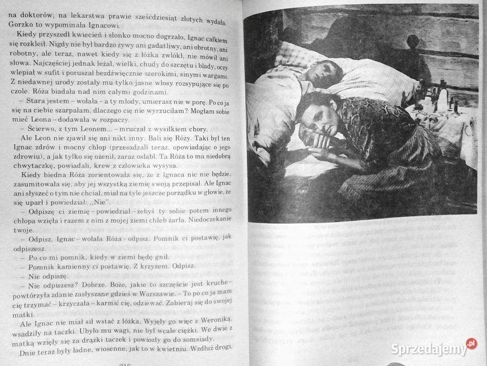 Brzezina i inne opowiadania ekranizowane Książki i Podręczniki lubelskie Chełm sprzedam