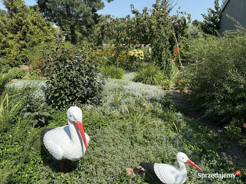 Siedlisko w mazowieckiej wsi Józefków