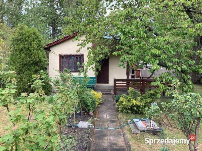 Działka rekreacyjna Rudak ROD Liliput Sprzedaż