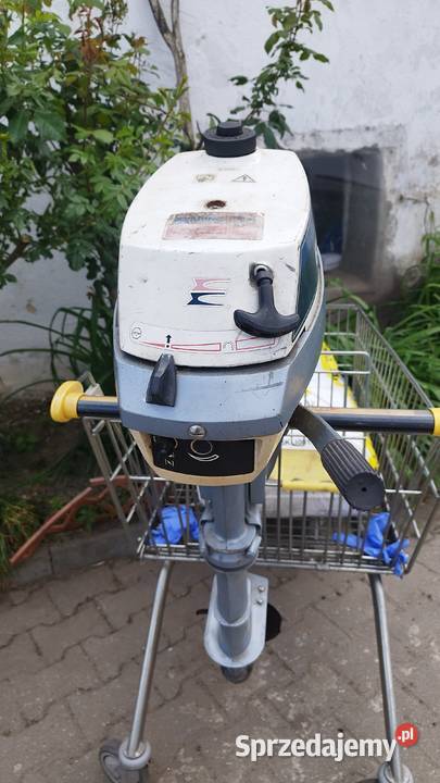 Silnik zaburtowy Evinrude BE4BRC08 Słubice sprzedam