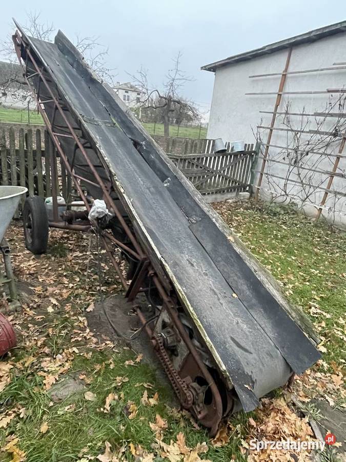 Taśmociąg do obornika