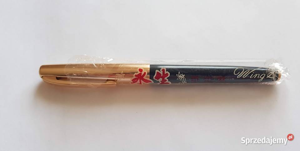 Pióro Wieczne Wing Sung 612 2 sztuki Zielona Góra sprzedam