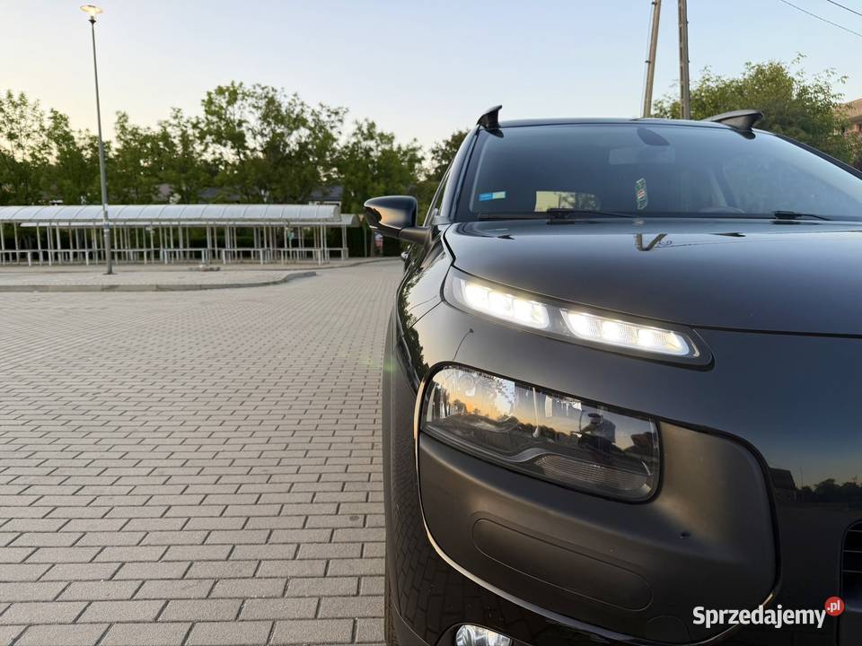 Citron C4 Cactus czujnik deszczu Nysa