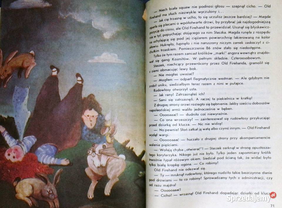 Pierogi Old Firehanda Krystyna Boglar Chełm