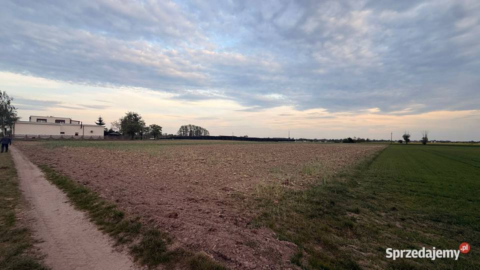 Działki budowlane na sprzedaż Kotunia gm Słupca 7zł/m2