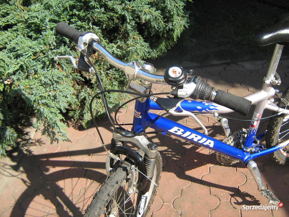 Rower młodzieżowy BIRIA MTB 24 Poznań