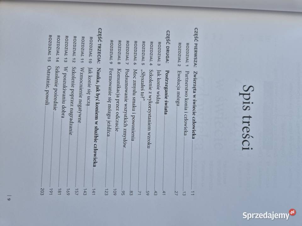 Mózg konia mózg człowieka Brzesko