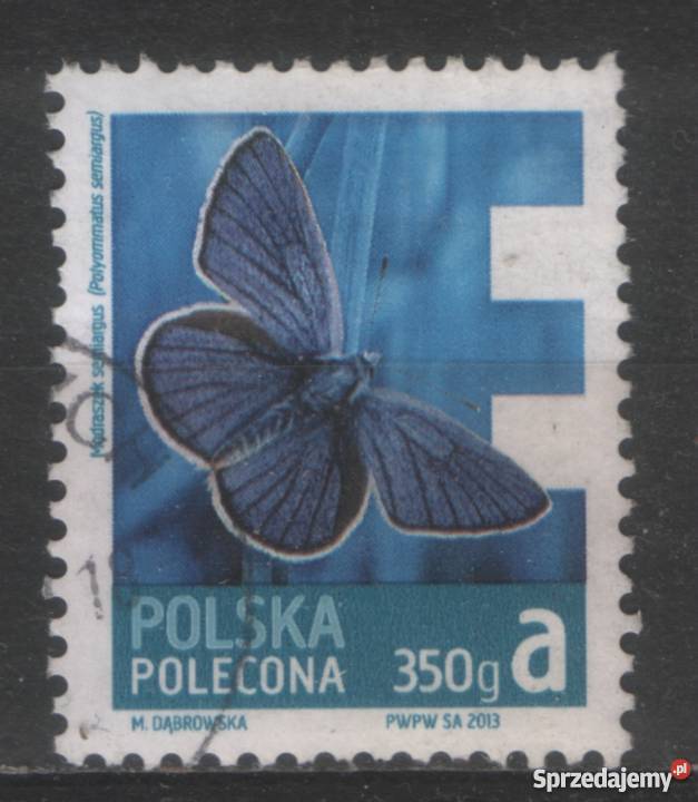 Zn Fi 4477 kas 2013 Gliwice