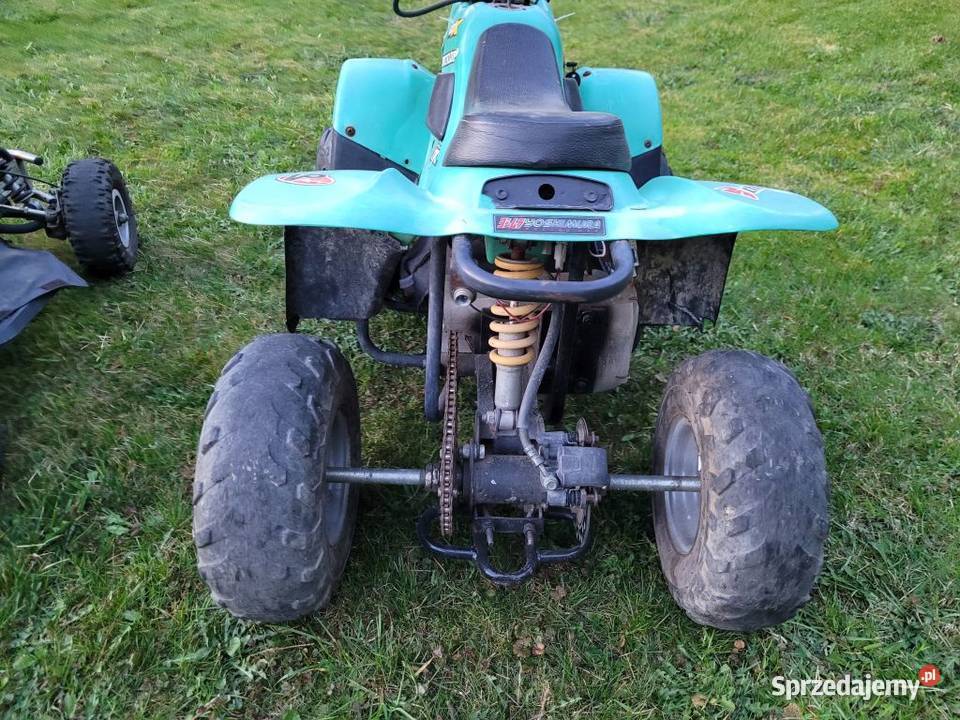 Dwa Quady elektryczne 1000W