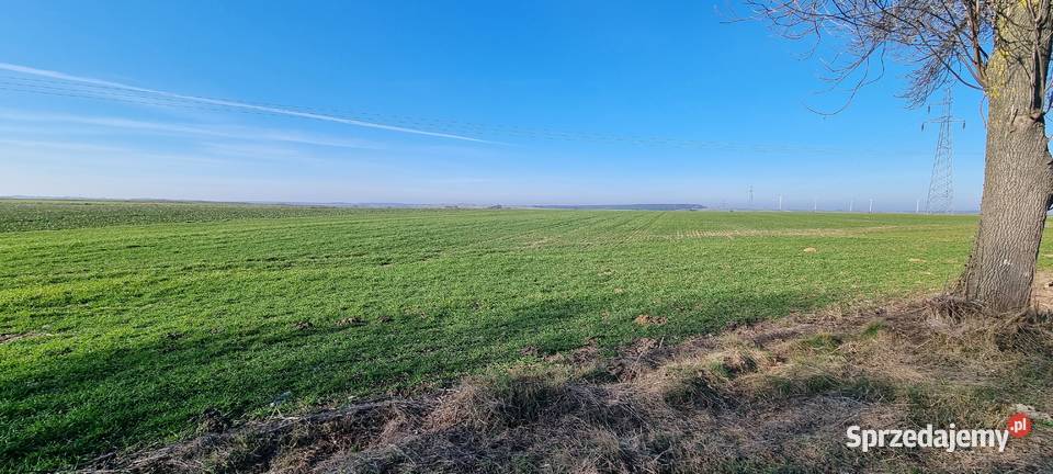 Sprzedaż działek rolnych 476 ha RożkiKolonia lubelskie Rożki-Kolonia