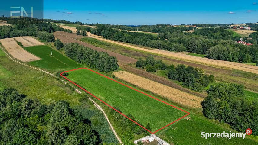 Grunt Harta 3200m2 sprzedam