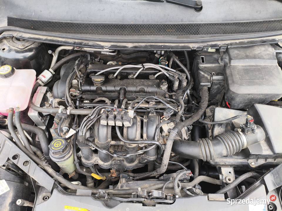 Ford Focus MK2 hatchback 16 bgaz Rok produkcji 2006 Zamość