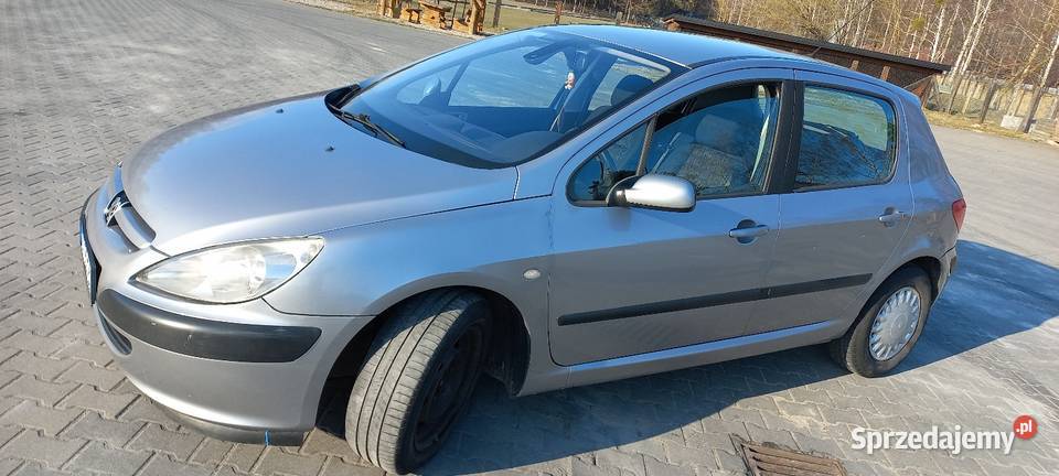 Peugeot 307 5D 20 HDI opłaty zadbany i b zwinny Rok produkcji 2003 mazowieckie Skaryszew