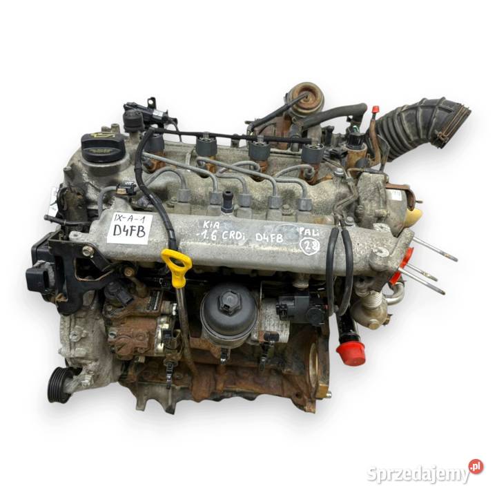 SILNIK D4FB Hyundai i30 ix20 Elentra IV 16 CRDI Chełm