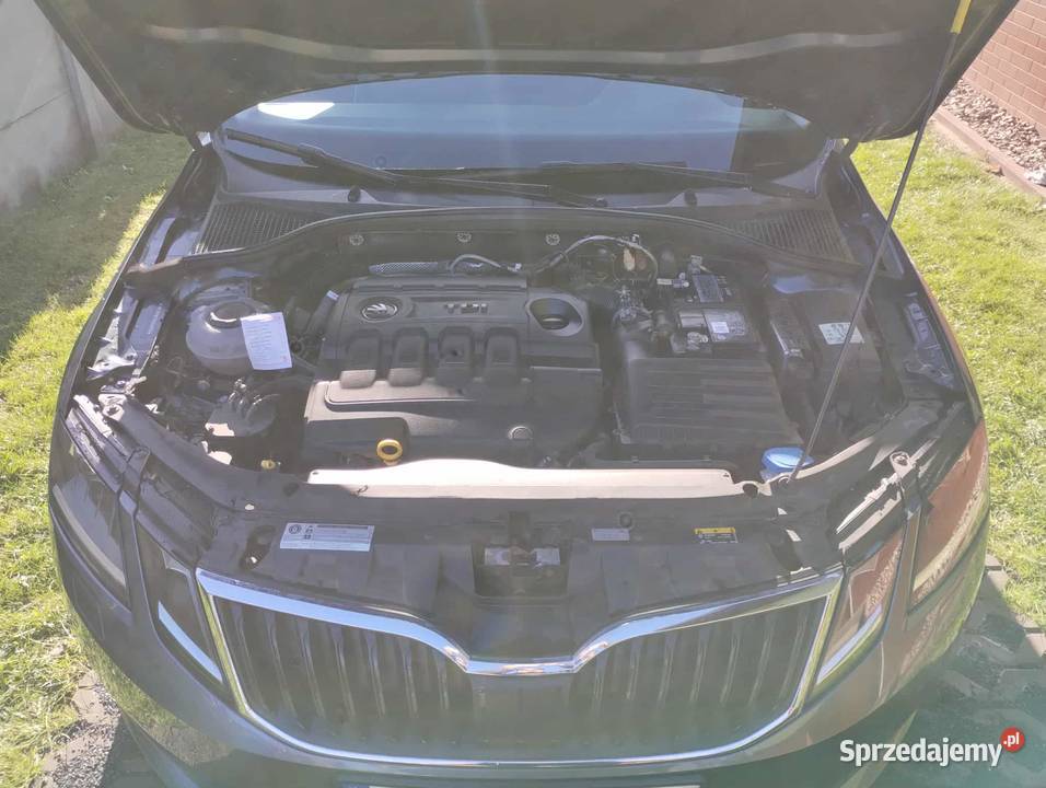 Skoda Octavia 16 TDI Clever DSG 2018r bogate Rok produkcji 2018 lubuskie Brody