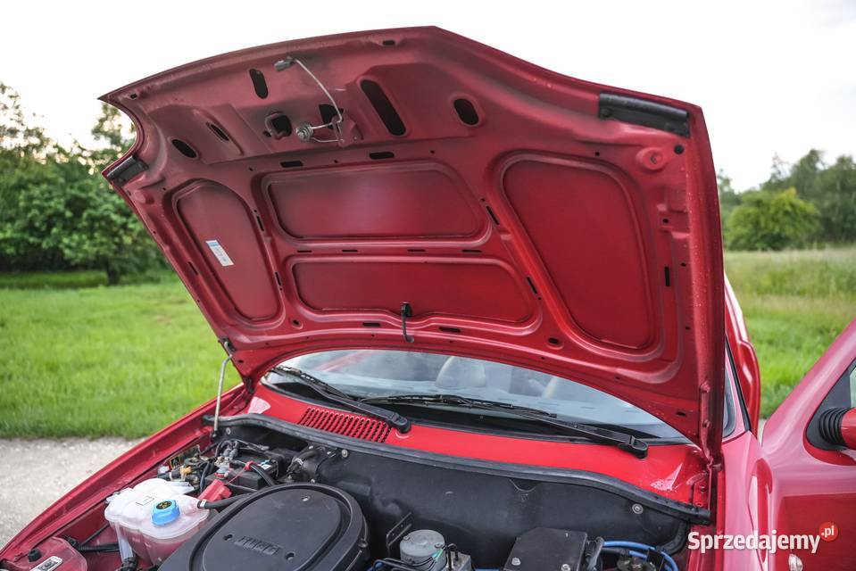 Fiat seicento schumacher nieuszkodzony Myszków