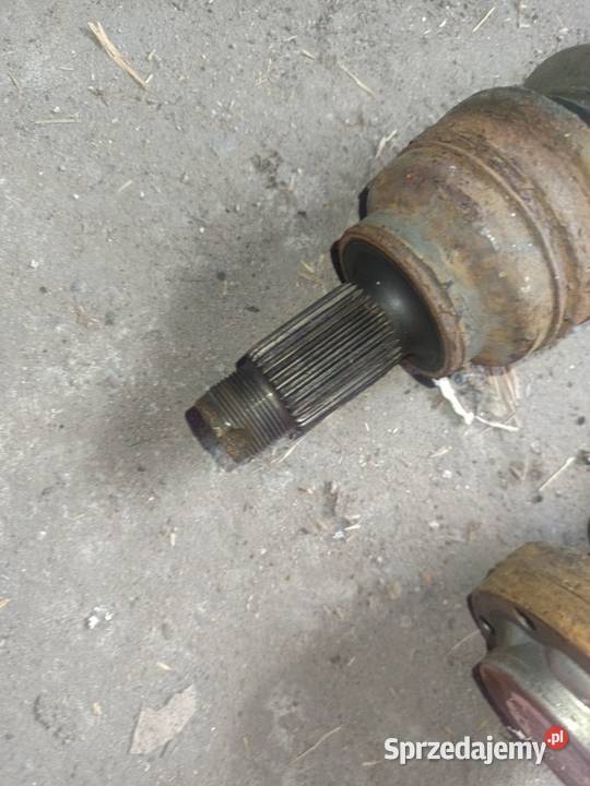 Sprzedam pół Łosie BMW E 39 seria 5 1998 Osięciny sprzedam