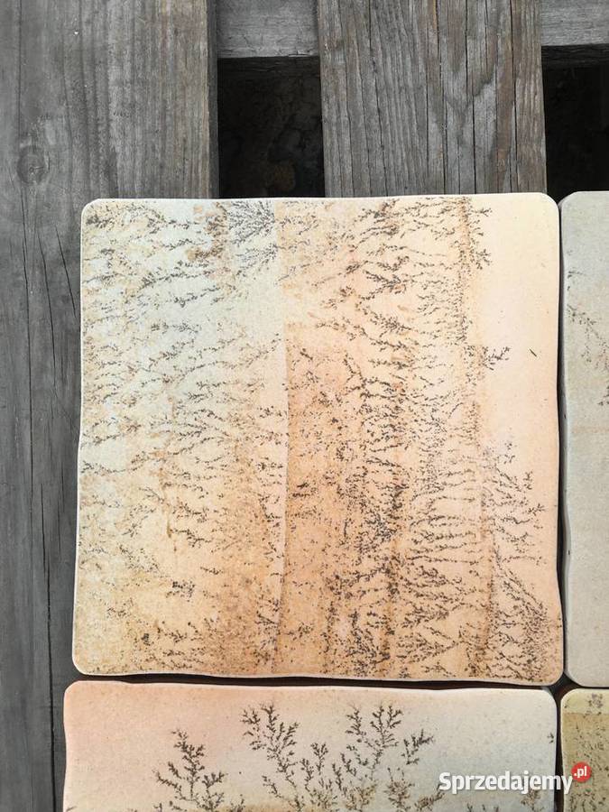 Terakota fernstone ocre 20x20 firmy KEROS Reguły