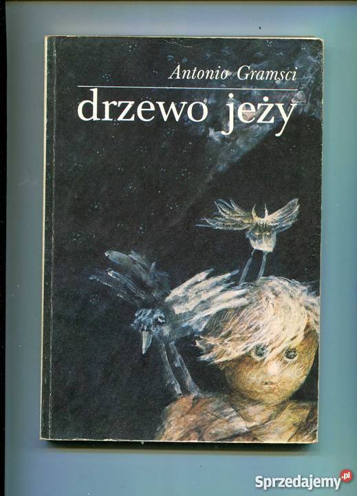 Drzewo jeży Szczecin