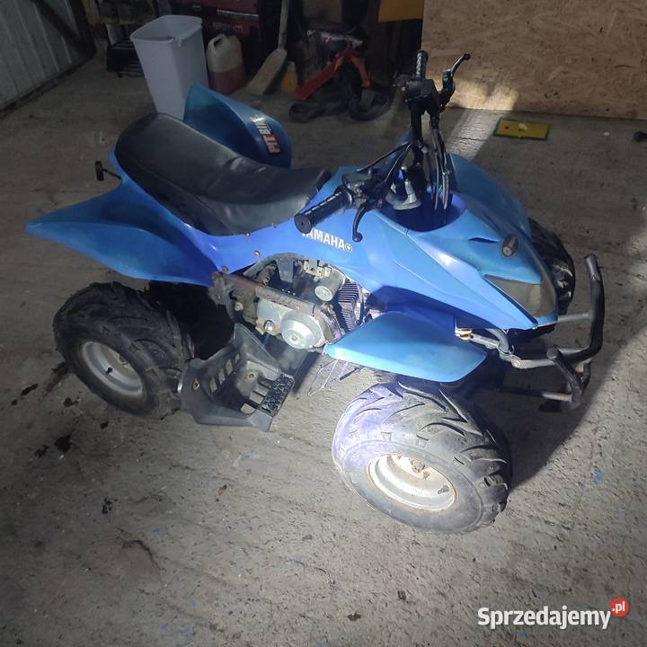 Quad 110 duży na 8 calowych kołach