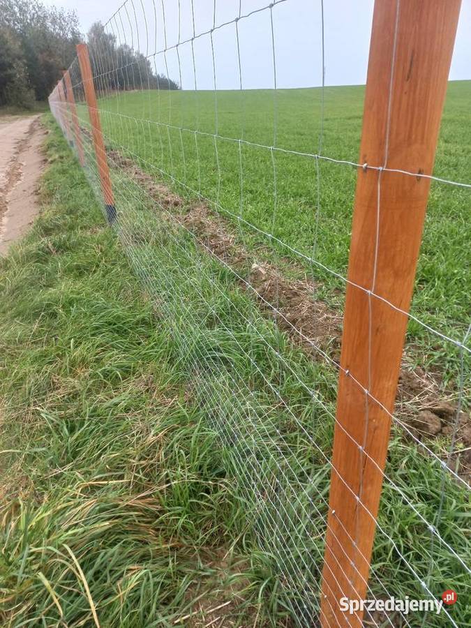 Paliki słupki wałki drewniane palisada pachołek Ogród