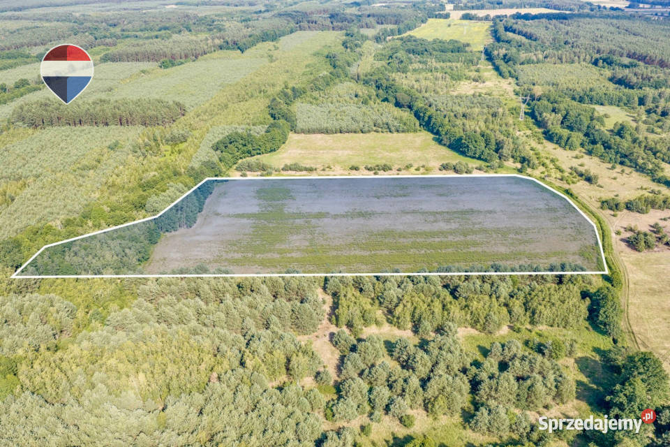 Działka rolna 521 ha w Jarogniewicach Zielona Góra sprzedam