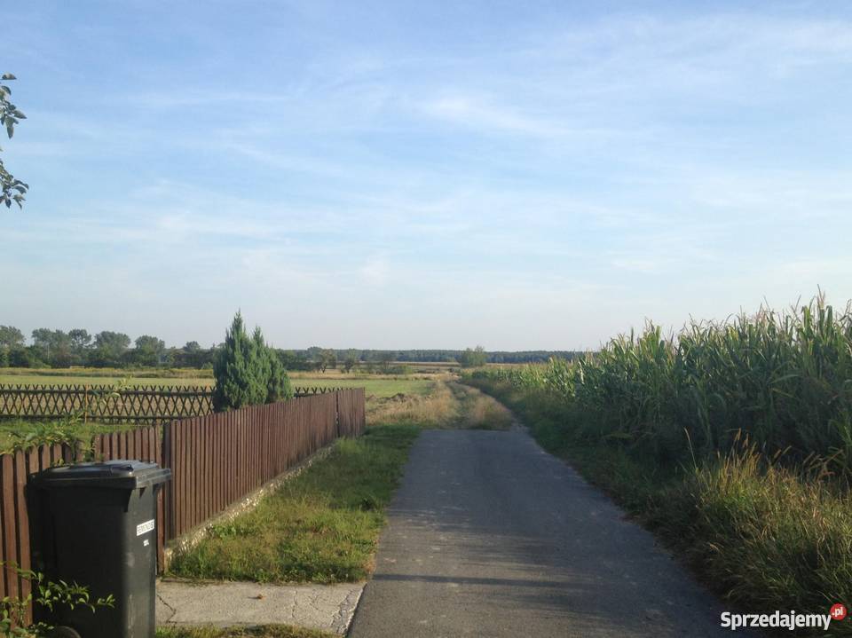 Działki k Opola na sprzedaż zamianę na Grunty i działki Wawelno