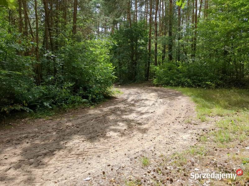 Udział w nieruchomości gruntowej syndyka mazowieckie Nieborzyn