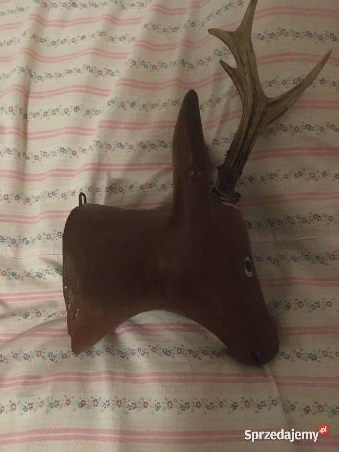 Głowa KOZIOŁKA Pozostałe Majdan Królewski