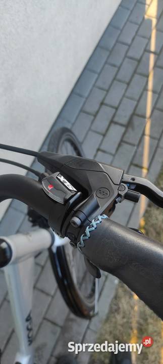Sprzedam rower holenderski koga kujawsko-pomorskie