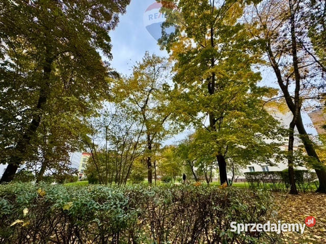 centralna w spokojnym miejscu sprzedam