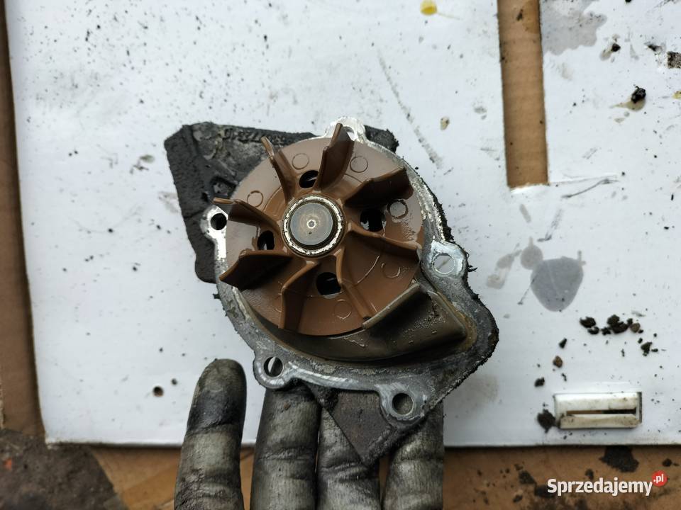 PEUGEOT CITROEN FIAT 20 HDI POMPA WODY osobowe Kamień-Kolonia sprzedam