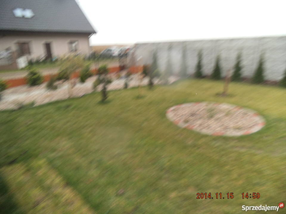 DOM wielkopolskie