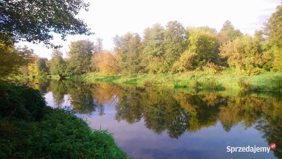 Działka 4828m2 Wkrą pozw na budowę ogrodzenie