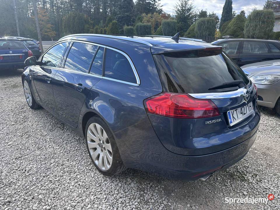 Opel Insignia SRI Bez Wkładu Finansowego światła do jazdy dziennej Ładna