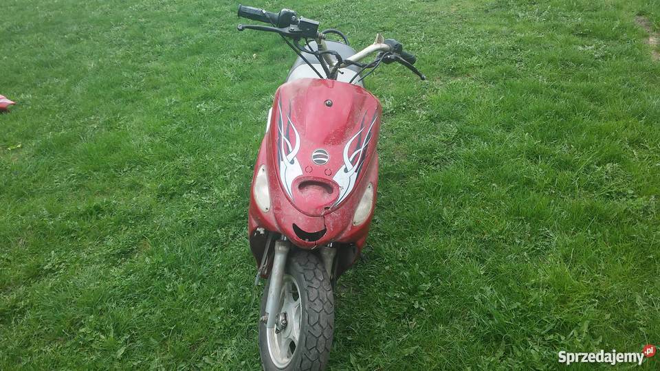 Skuter Zipp Basic Zipp Siennica