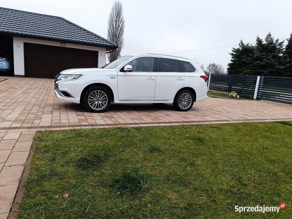 ładny Hybryda biały Outlander Lublin