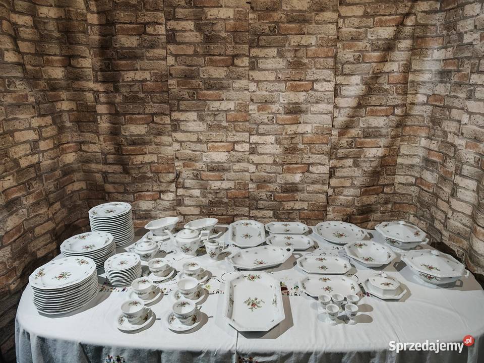 Rosenthal Maria Moosrose duży zestaw porcelany sprzedam