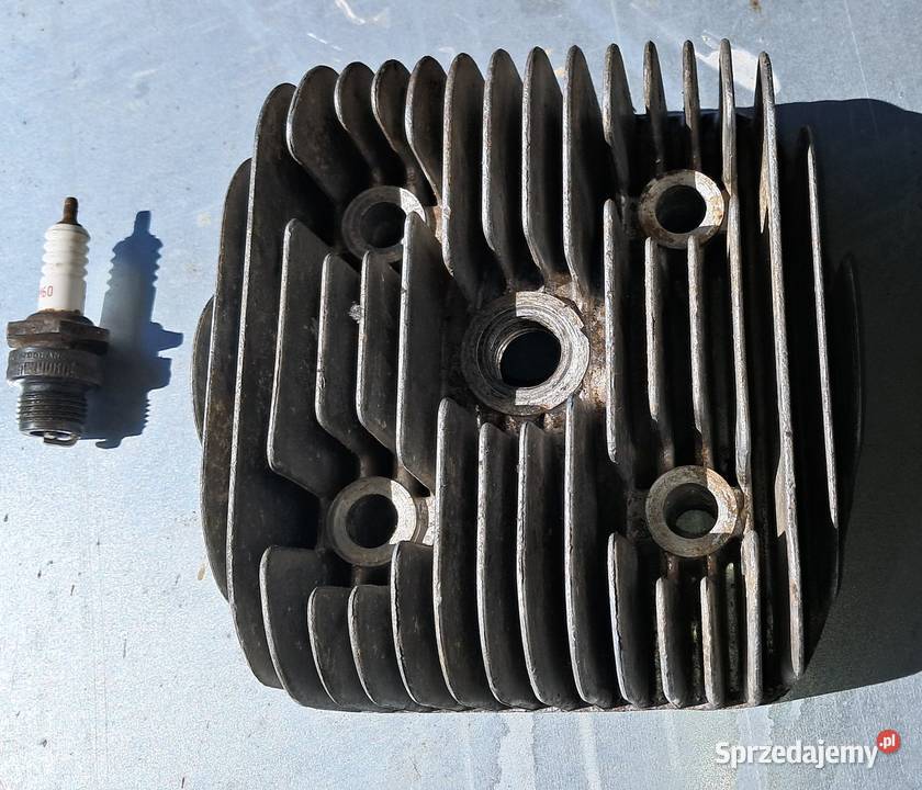 Głowica Wsk dzik Jasło