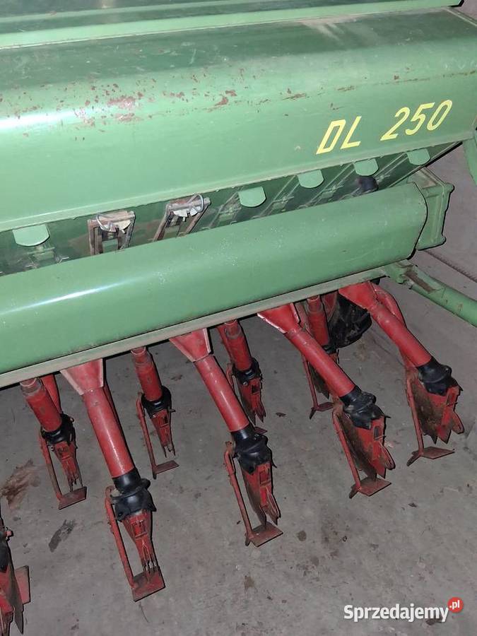 Brona wirowa Rabka-Zdrój sprzedam