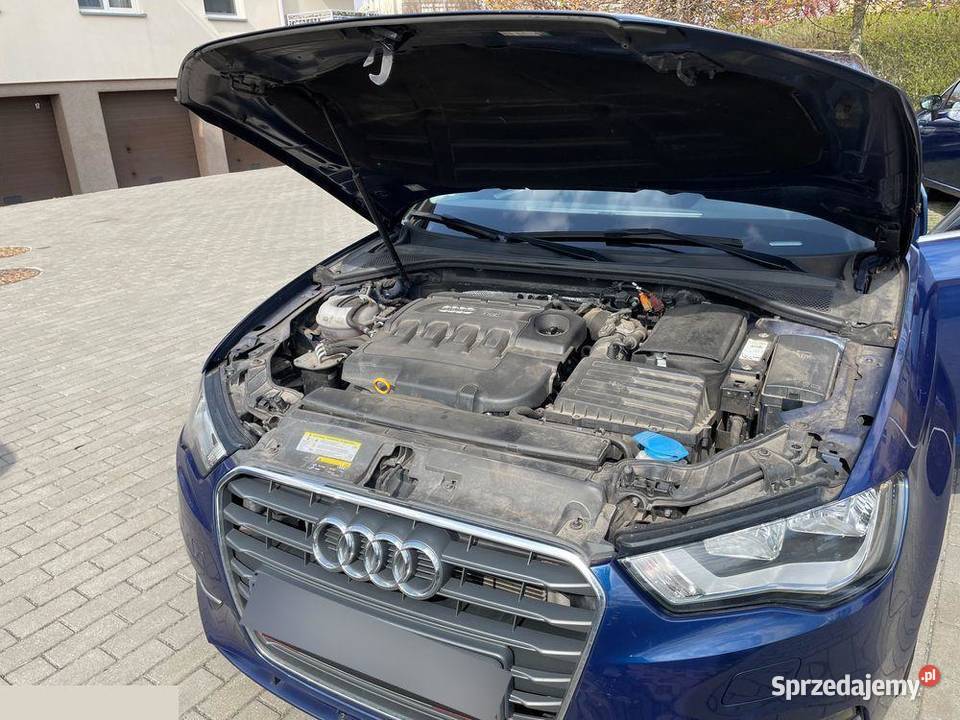 Audi A3 16 TDI DPF Ambition 105 2014r kujawsko-pomorskie Toruń