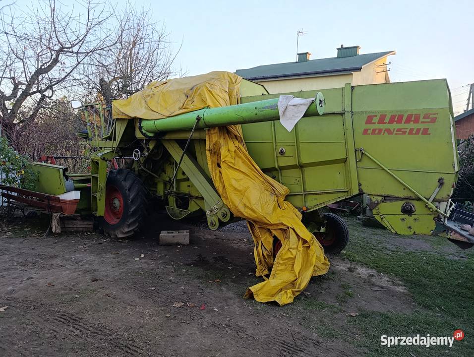 Class consul 3m Wola Wielka