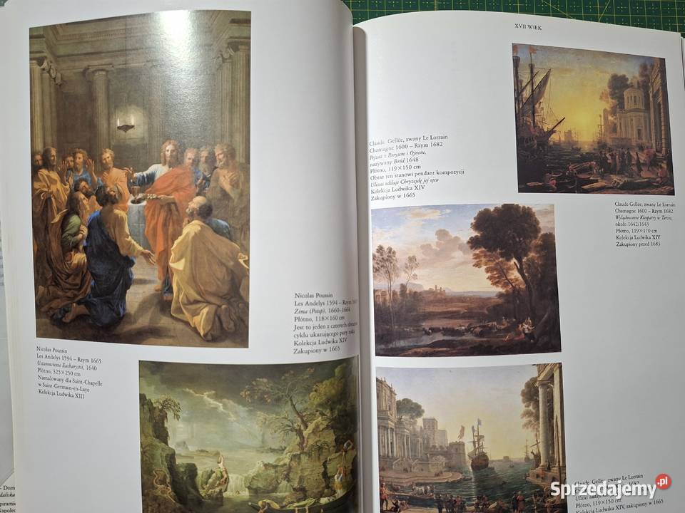 Luwr malarstwo europejskie Arkady twarda z obwolutą małopolskie Kraków