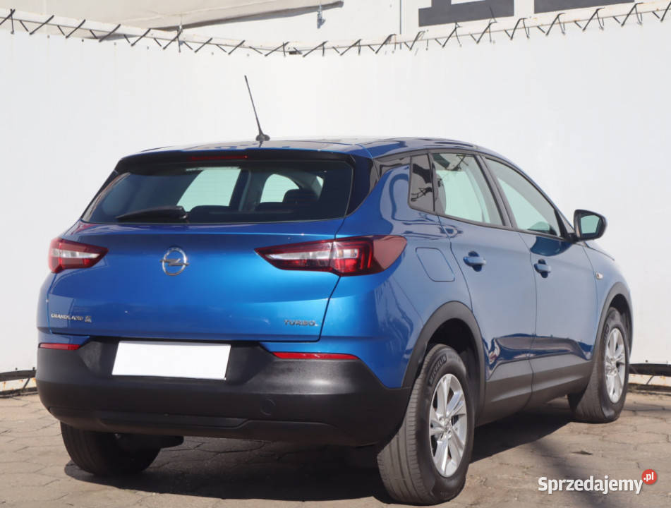 Opel Grandland 12 Turbo komputer pokładowy łódzkie
