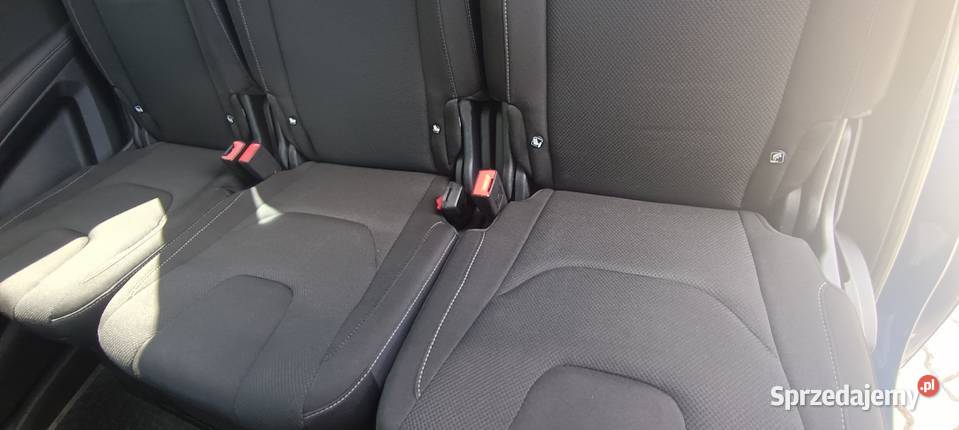 Sprzedam Ford S 20 TDCI 180 wersja Titanium manualna S-MAX mazowieckie Piaseczno