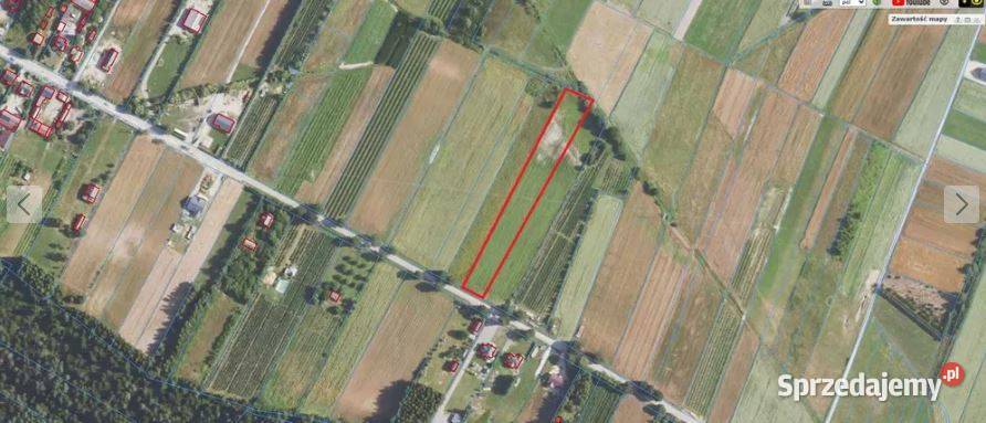 Działka budowlana 50 arów Zofianka Górna k