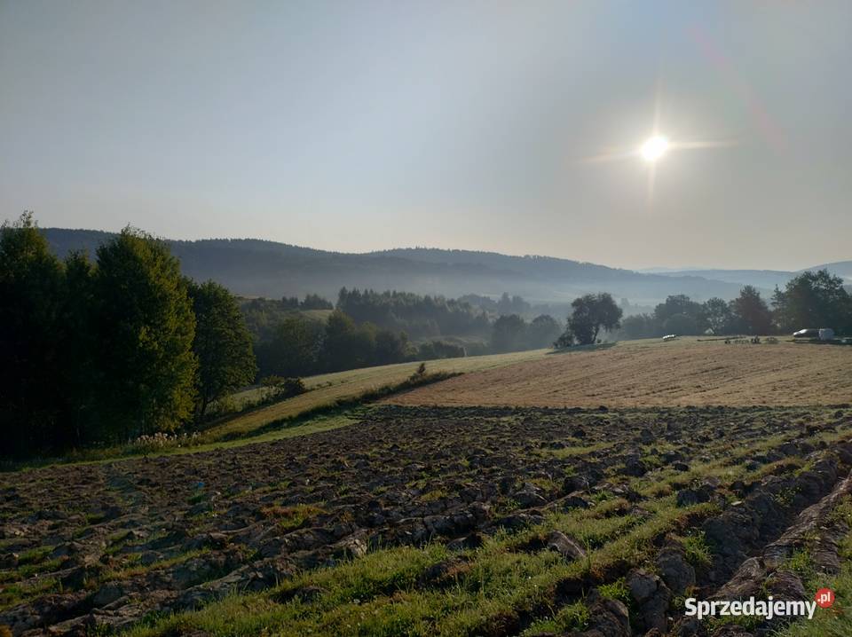 Działka widokowa z warunkami zabudowy 11 arów 1100m2 Dziurdziów sprzedam