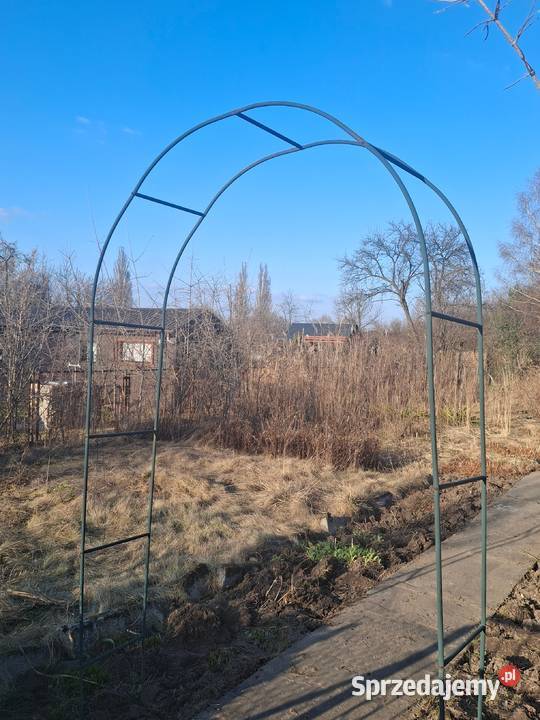 Działka ROD Wrzosowa Kielce